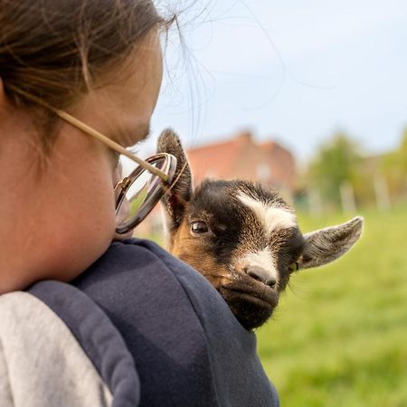 Logements Insolites A La Ferme - Yourte, Kota Ou Pod Farbus Екстериор снимка