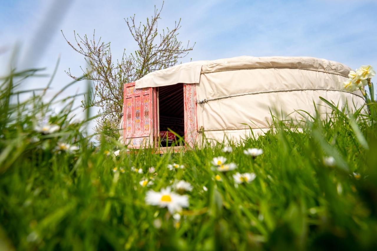 Logements Insolites A La Ferme - Yourte, Kota Ou Pod Farbus Екстериор снимка